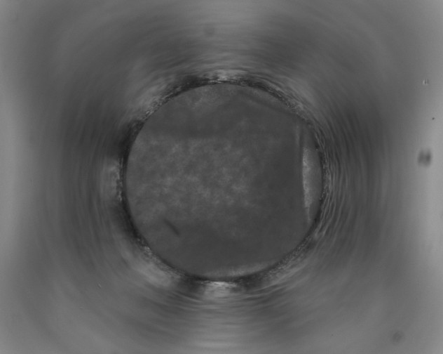 X0000089910222200707271721