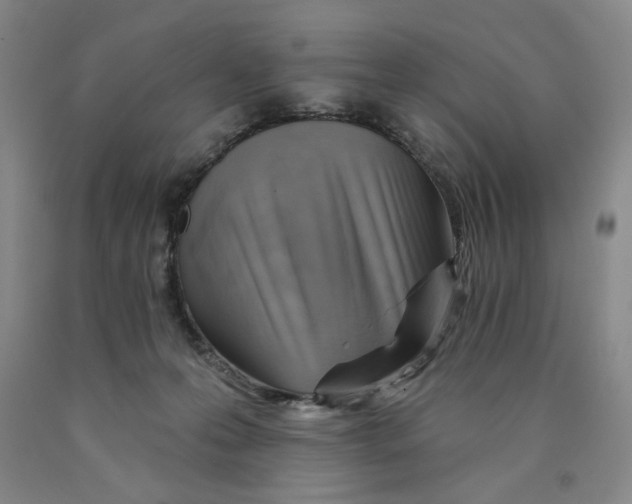 X0000089910223200707271721