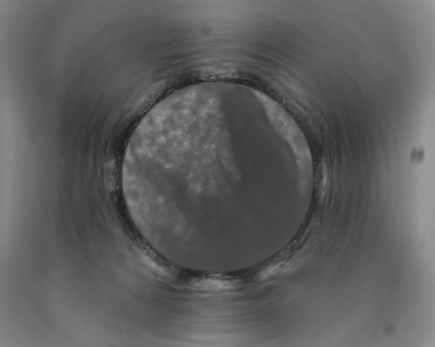 X0000089910224200707271721