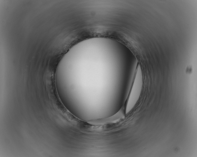 X0000089910225200707271721