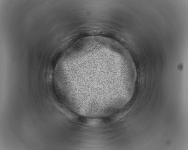 X0000089910226200707271721