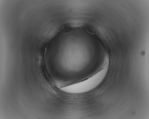 X0000089910227200707271721