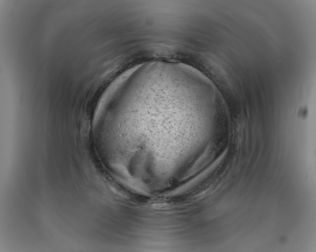 X0000089910228200707271721