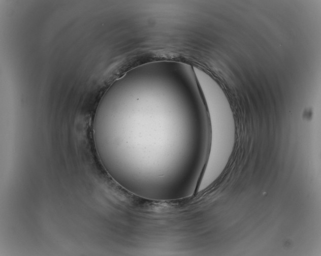 X0000089910229200707271721