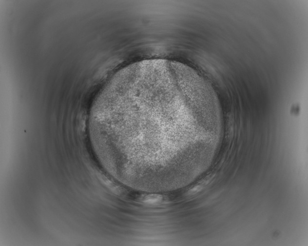 X0000089910230200707271721