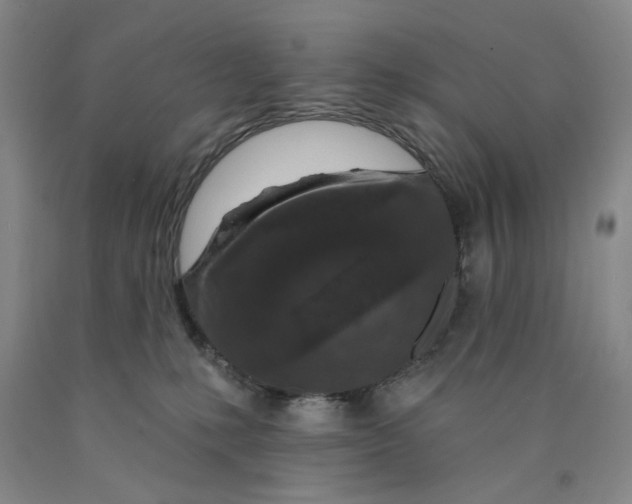 X0000089910231200707271721