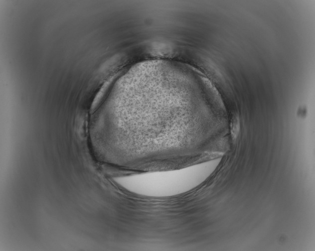 X0000089910233200707271721