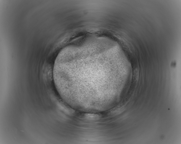 X0000089910234200707271721