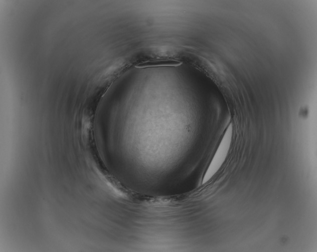 X0000089910235200707271721