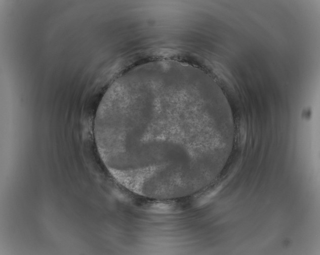 X0000089910236200707271721