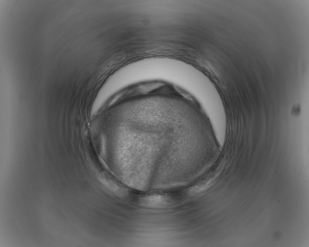 X0000089910237200707271721