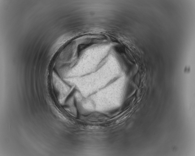 X0000089910242200707271720