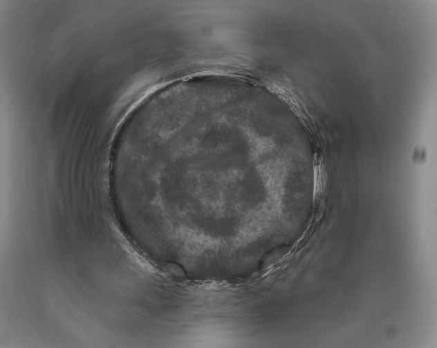 X0000089910243200707271720