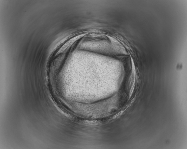 X0000089910245200707271720