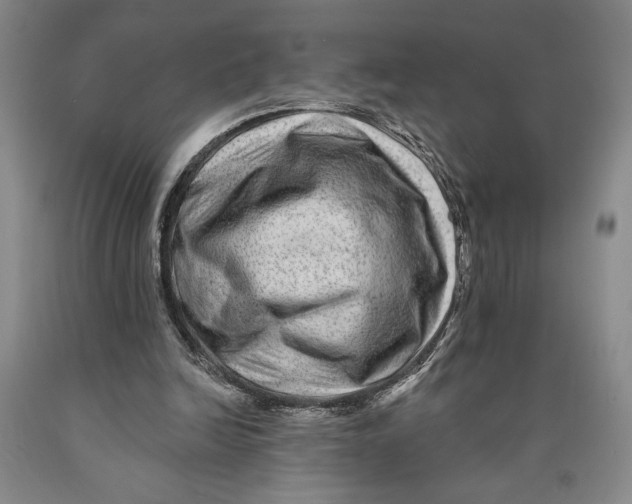 X0000089910246200707271720