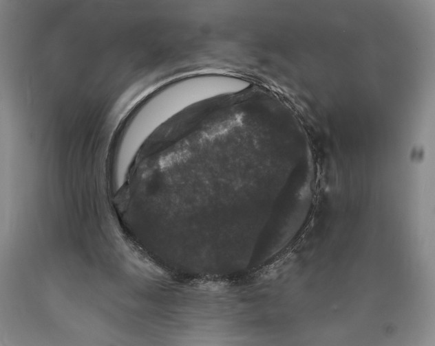 X0000089910247200707271720