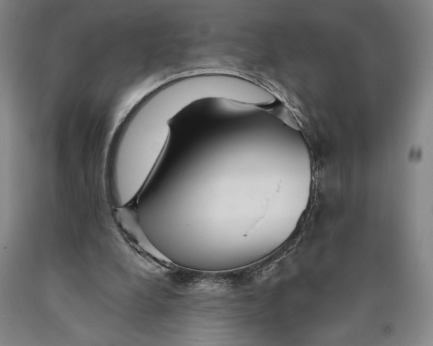 X0000089910248200707271720