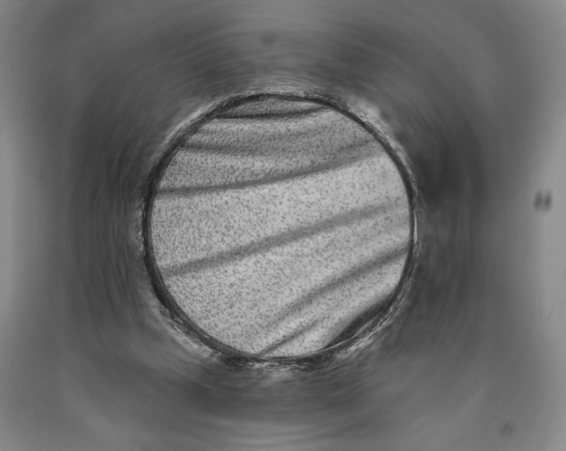 X0000089910249200707271720