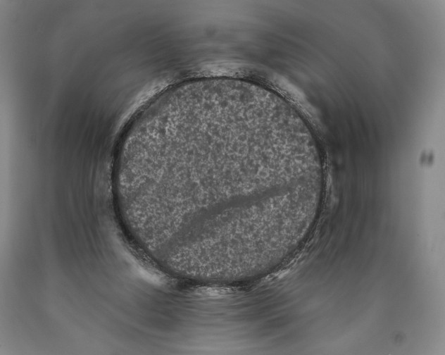 X0000089910250200707271720