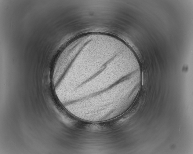 X0000089910253200707271720