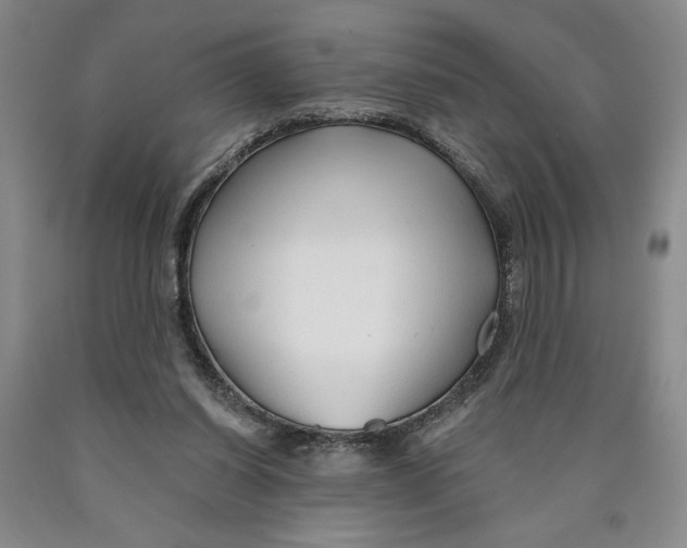 X0000089910254200707271721