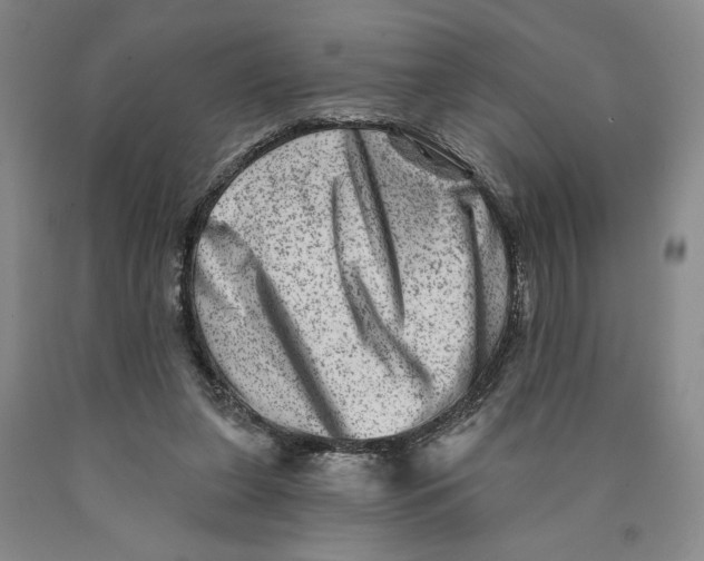 X0000089910255200707271721