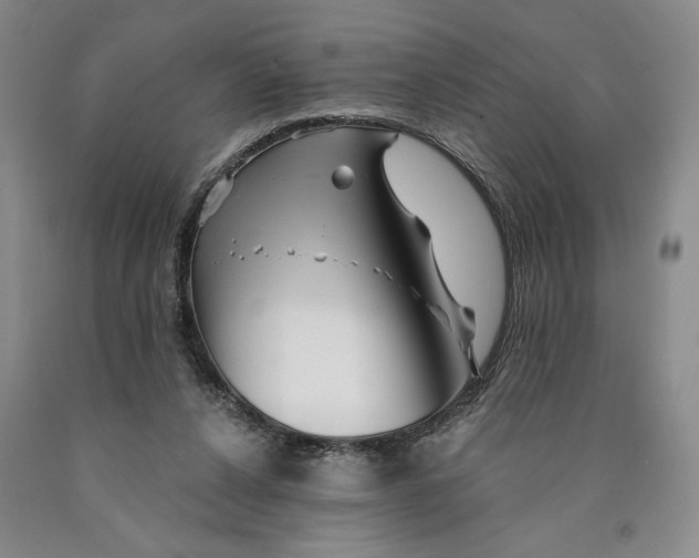 X0000089910256200707271721