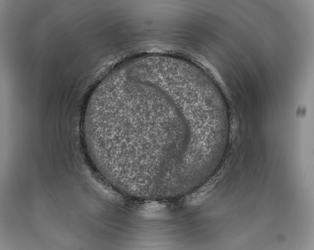 X0000089910257200707271721