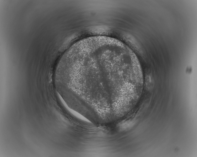 X0000089910259200707271721