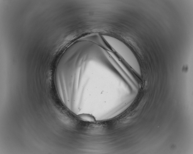 X0000089910260200707271721