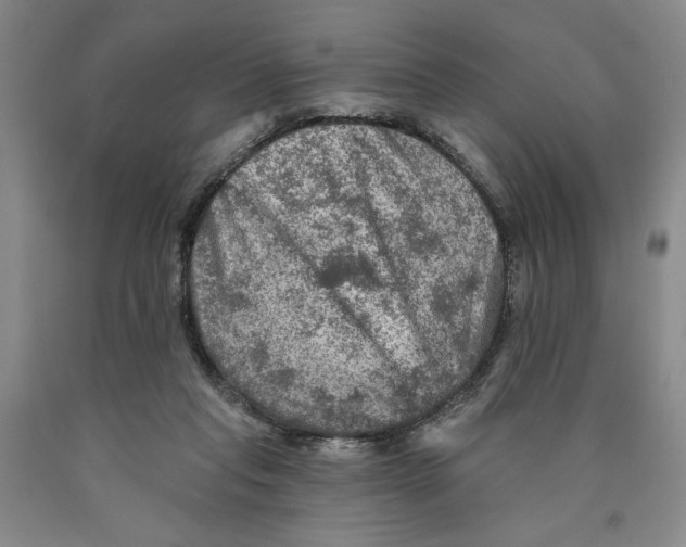 X0000089910261200707271721