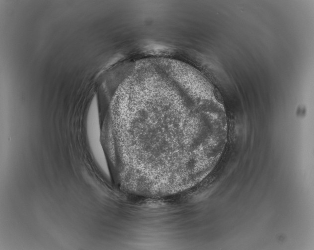 X0000089910263200707271721