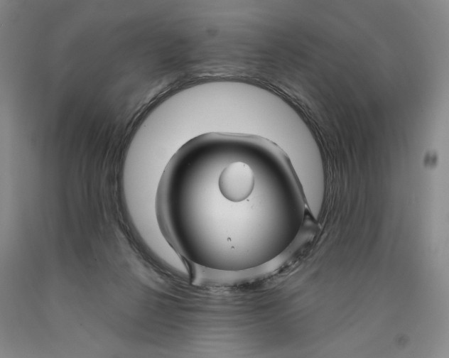 X0000089910264200707271721