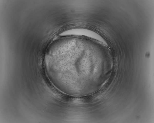 X0000089910268200707271721