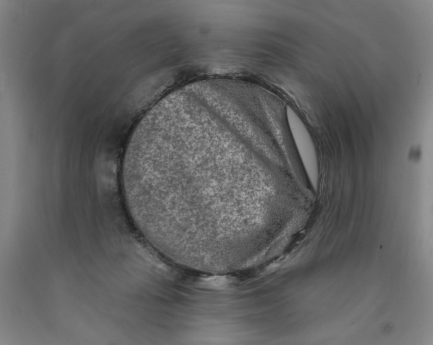 X0000089910269200707271721