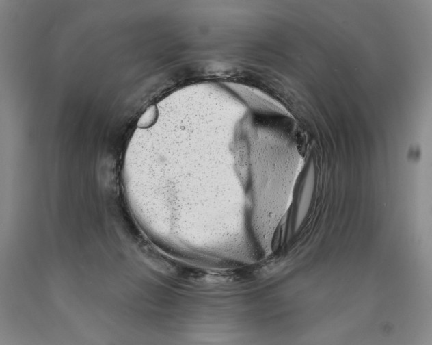 X0000089910270200707271721