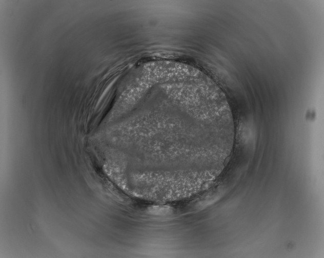 X0000089910271200707271721