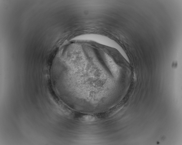 X0000089910272200707271721