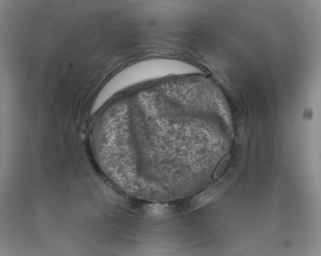 X0000089910273200707271721