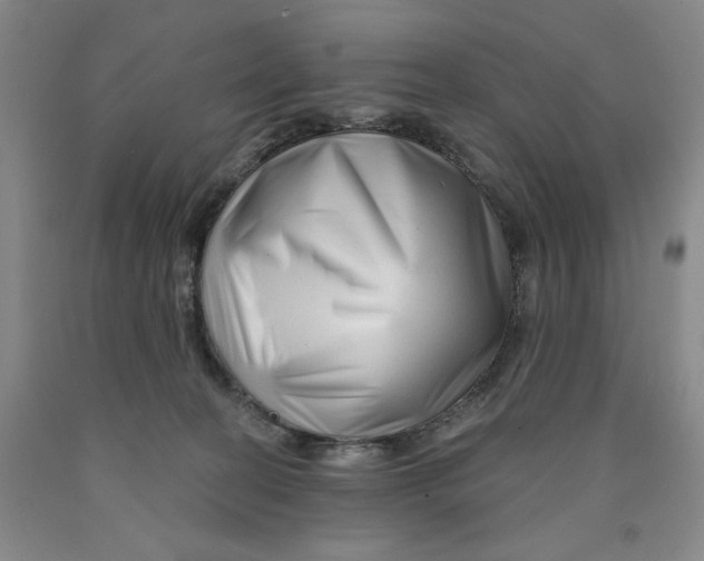 X0000089910274200707271721