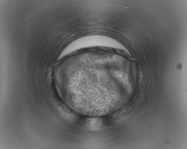 X0000089910275200707271721