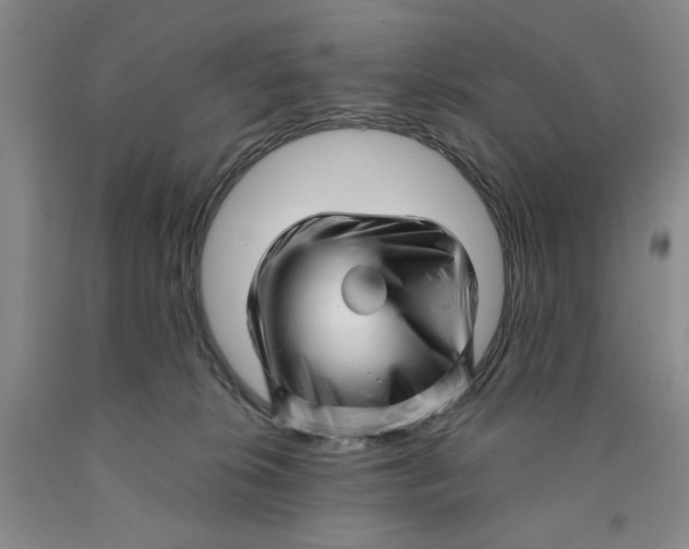 X0000089910276200707271721