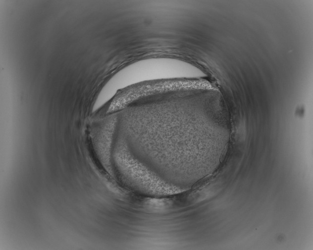 X0000089910277200707271721