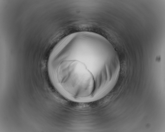 X0000089910278200707271721