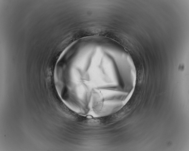 X0000089910279200707271721