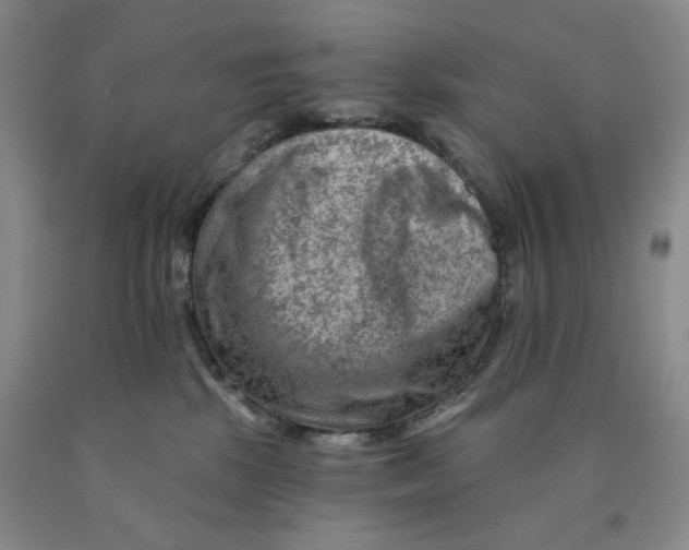 X0000089910281200707271721