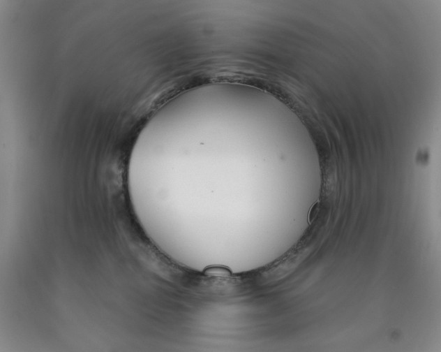 X0000089910282200707271721