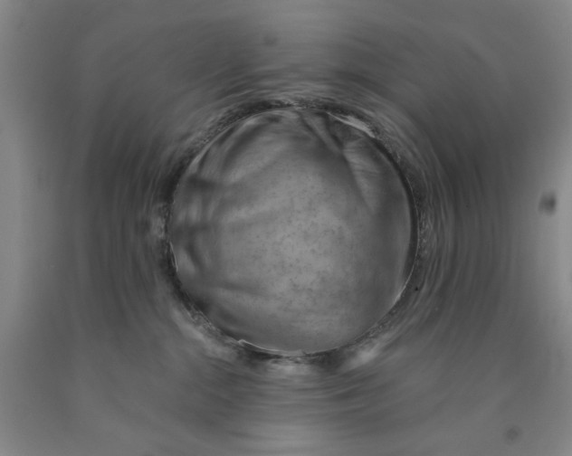 X0000089910284200707271721