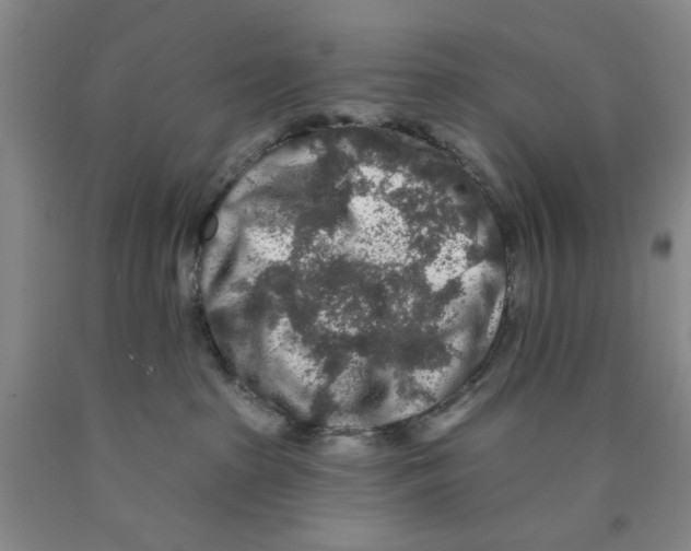 X0000089910285200707271721