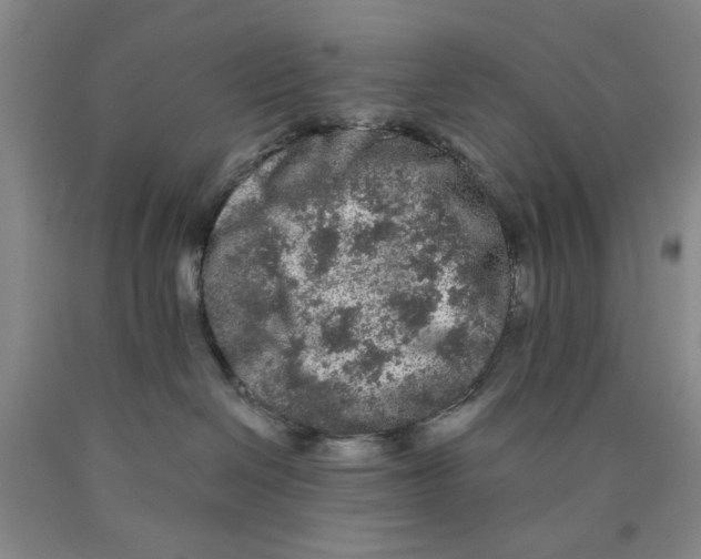 X0000089910286200707271721